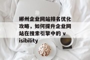 郴州企业网站排名优化攻略，如何提升企业网站在搜索引擎中的 visibility