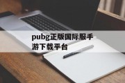 pubg正版国际服手游下载平台