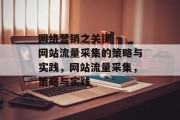 网络营销之关键 - 网站流量采集的策略与实践,网站流量采集,策略与实践 网络营销之关键 - 网站流量采集的策略与实践,网站流量采集,策略与实践