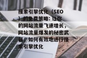 搜索引擎优化（SEO）的免费策略: 让你的网站流量飞速增长，网站流量爆发的秘密武器，如何有效地进行搜索引擎优化