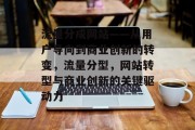 流量分成网站——从用户导向到商业创新的转变，流量分型，网站转型与商业创新的关键驱动力