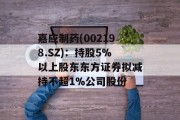 嘉应制药(002198.SZ)：持股5%以上股东东方证券拟减持不超1%公司股份