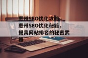 惠州SEO优化攻略，惠州SEO优化秘籍，提高网站排名的秘密武器