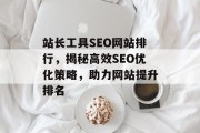 站长工具SEO网站排行，揭秘高效SEO优化策略，助力网站提升排名
