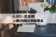 上海新阳(300236.SZ)：芯征途(一期)持股计划股票出售完毕