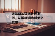 网站SEO数据分析案例，从数据洞察到优化策略