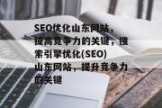SEO优化山东网站,提高竞争力的关键,搜索引擎优化(SEO)山东网站,提升竞争力的关键