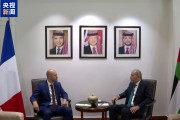 约旦副首相和法国外长举行会谈 讨论地区局势