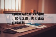 汕尾网站权重提升策略，优化之道，助力企业在线崛起
