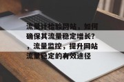 流量计检验网站，如何确保其流量稳定增长？，流量监控，提升网站流量稳定的有效途径