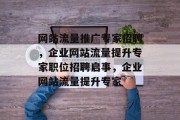 网站流量推广专家招聘，企业网站流量提升专家职位招聘启事，企业网站流量提升专家