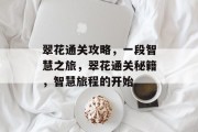 翠花通关攻略，一段智慧之旅，翠花通关秘籍，智慧旅程的开始