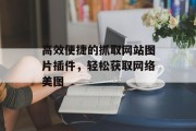 高效便捷的抓取网站图片插件，轻松获取网络美图