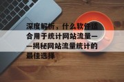 深度解析，什么软件适合用于统计网站流量——揭秘网站流量统计的最佳选择