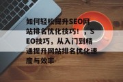 如何轻松提升SEO网站排名优化技巧！，SEO技巧，从入门到精通提升网站排名优化速度与效率