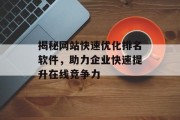 揭秘网站快速优化排名软件，助力企业快速提升在线竞争力