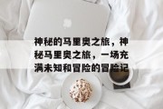 神秘的马里奥之旅,神秘马里奥之旅,一场充满未知和冒险的冒险记