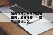 通关攻略，简单的策略指南，通关秘籍，一招教你轻松过关