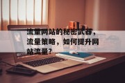 流量网站的秘密武器，流量策略，如何提升网站流量?