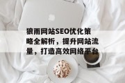 狼雨网站SEO优化策略全解析，提升网站流量，打造高效网络平台
