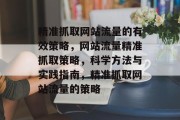 精准抓取网站流量的有效策略，网站流量精准抓取策略，科学方法与实践指南，精准抓取网站流量的策略