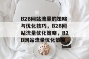 B2B网站流量的策略与优化技巧，B2B网站流量优化策略，B2B网站流量优化策略