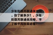 少年街霸苏联通关攻略,你了解多少?,少年街霸苏联通关攻略,不了解千万玩家必看!