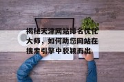 揭秘天津网站排名优化大师，如何助您网站在搜索引擎中脱颖而出