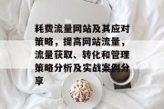 耗费流量网站及其应对策略,提高网站流量,流量获取、转化和管理策略分析及实战案例分享 耗费流量网站及其应对策略,提高网站流量,流量获取、转化和管理策略分析及实战案例分享