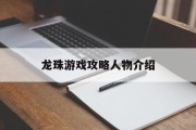 龙珠游戏攻略人物介绍