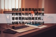 揭秘流量缴费网站背后的真相与技巧，揭开流量缴费网站隐藏玄机，秘籍与技巧让你轻松过季