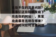 无处不在的流量问题？黑客们正在你眼皮底下攻击你的网站！，黑客攻击最常出现在哪里？教你如何应对流量问题！