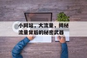 小网站，大流量，揭秘流量背后的秘密武器