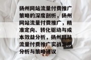 扬州网站流量付费推广策略的深度剖析，扬州网站流量付费推广，精准定向、转化驱动与成本效益分析，扬州网站流量付费推广实战案例分析与策略建议