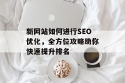 新网站如何进行SEO优化，全方位攻略助你快速提升排名