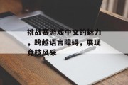 挑战赛游戏中文的魅力，跨越语言障碍，展现竞技风采