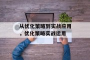 从优化策略到实战应用，优化策略实战运用