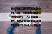 提升网站流量赚取资金的方法，如何利用网站流量赚钱，入门指南，提升网站流量赚取资金的简单方法和入门指南