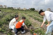 野餐必备攻略亲子游戏的简单介绍