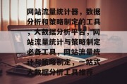 网站流量统计器，数据分析和策略制定的工具，大数据分析平台，网站流量统计与策略制定必备工具，网站流量统计与策略制定，一站式大数据分析工具推荐