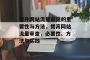 提升网站流量审查的重要性与方法，提高网站流量审查，必要性、方法与实践