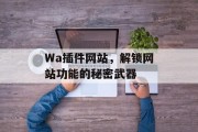 Wa插件网站，解锁网站功能的秘密武器
