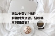 网站免费VIP插件，解锁付费资源，轻松畅享网络盛宴！