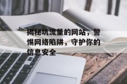 揭秘坑流量的网站，警惕网络陷阱，守护你的信息安全