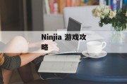Ninjia 游戏攻略