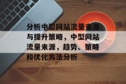 分析中型网站流量来源与提升策略，中型网站流量来源，趋势、策略和优化方法分析