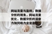 网站流量与盈利，数据分析的视角，网站流量优化，数据分析的洞察力如何助力企业盈利?