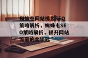 蜘蛛屯网站排名SEO策略解析，蜘蛛屯SEO策略解析，提升网站流量的金钥匙