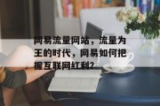 网易流量网站，流量为王的时代，网易如何把握互联网红利？