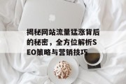 揭秘网站流量猛涨背后的秘密，全方位解析SEO策略与营销技巧